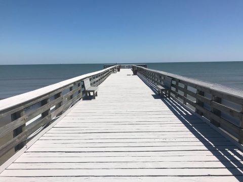 Marine dock with protective coating